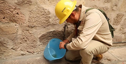 En 2025, Michoacán registró 81 % menos casos de dengue: SSM