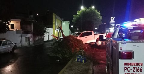 Árbol caído y derrame de aceite provocan incidente vial en el Centro de Morelia