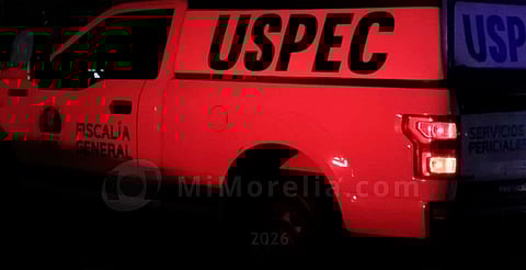 Hallan a dos sujetos ejecutados y embolsados en Queréndaro, Michoacán