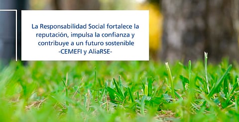 Consultora explica qué es la "responsabilidad social empresarial" y cómo gestionarla