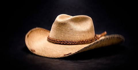 Movimiento del Sombrero ya no tiene la misma fuerza: PVEM Michoacán