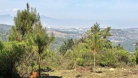 No es solo la Falla de San Andrés: Morelia tiene sus propios riesgos sísmicos