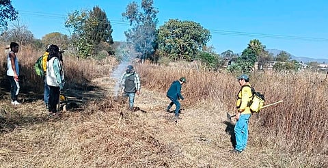 Faena vital en la Mintzita: prevención de incendios y vida