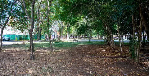 Habitantes cubren gastos de mantenimiento ante omisión municipal