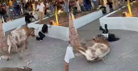 VIDEO: Vaca cornea a chava y hiere a otro durante fiesta taurina en Guerrero