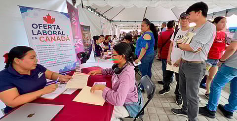Vinculará SNE al menos 200 uruapenses en el Programa de Trabajadores Agrícolas Temporales en Canadá
