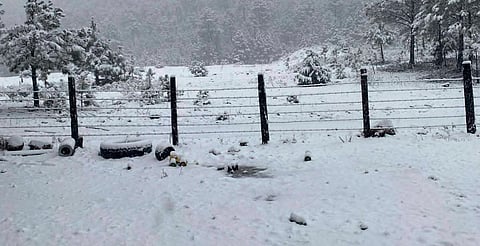 Tormenta invernal obliga a suspender clases en nivel básico en Chihuahua