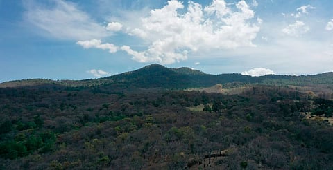 Tenencia de Tacícuaro evalúa proyecto ecoturístico en el Cerro del Águila