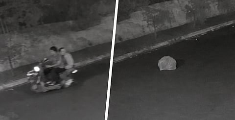 Abandonan a perrita dentro de una bolsa en Morelia; le buscan hogar [VIDEO]