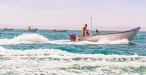 ¡Atención pescadores! Ya hay tope para capturar curvina golfina este año