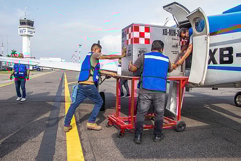 Plan binacional México–EU combate gusano barrenador del ganado con moscas estériles