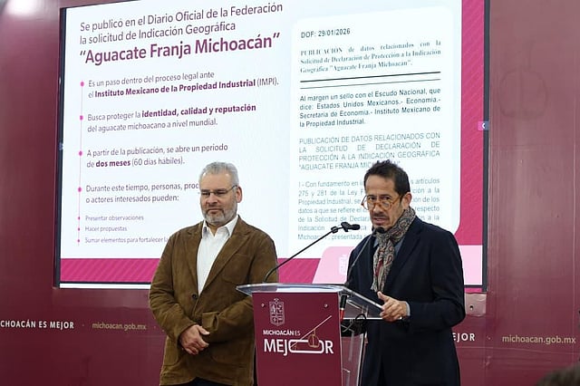 Avanza proceso de Indicación Geográfica para proteger al aguacate michoacano: Bedolla Mimorelia%2F2026 02 02%2Fupk3juiz%2FWhatsApp Image 2026 02 02 At 11.48.27 AM