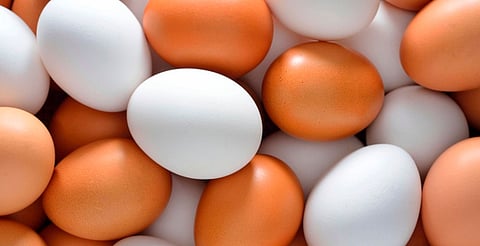 El huevo aporta proteínas, grasas saludables y múltiples vitaminas