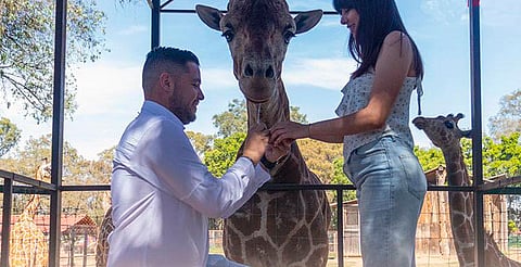 Zoo de Morelia detalla requisitos para bodas civiles el 14 de febrero