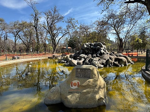 Rehabilitación de la Pila de los Patos concluiría en poco más de dos meses