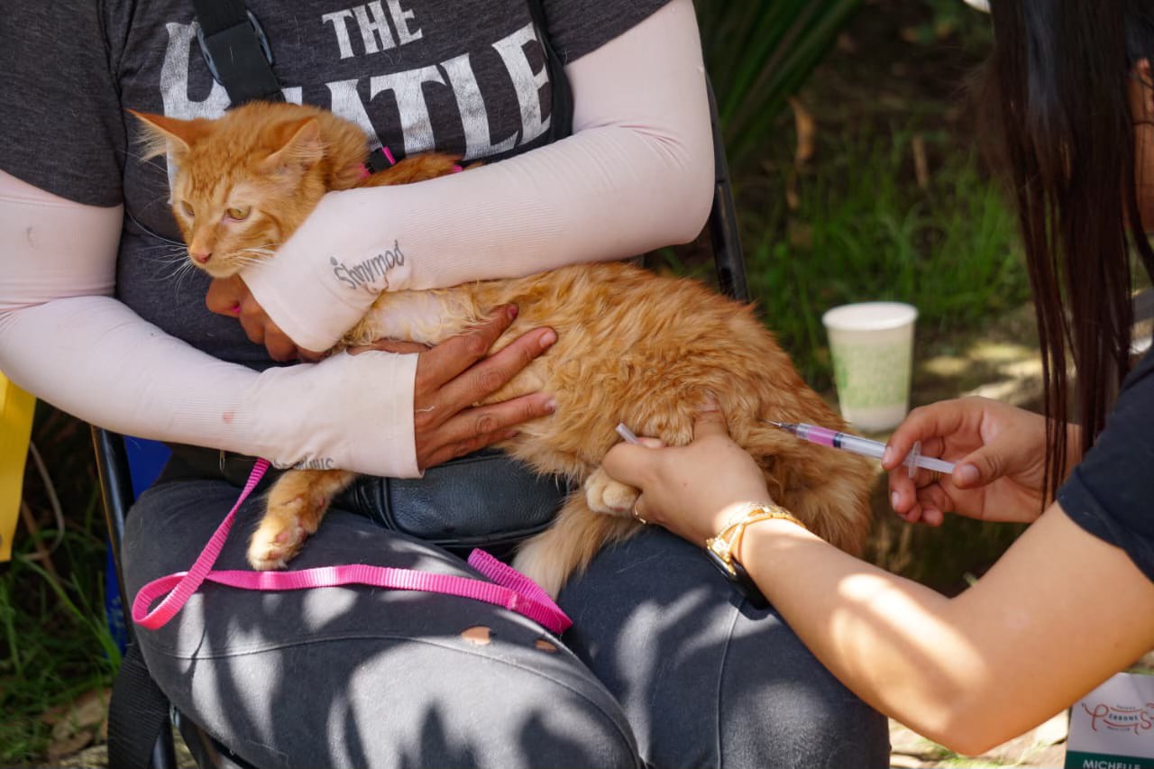 ¿Tu mascota ya está vacunada? Habrá jornada gratuita este sábado