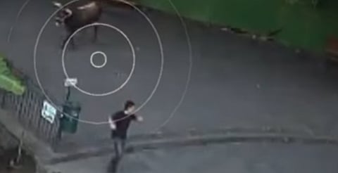 VIDEO: Toro irrumpe en calles de Uruapan y deja lesionados