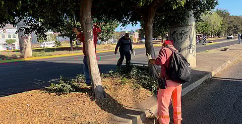 Áreas de recolección de basura trabajan con normalidad en Morelia: Secretaría de Servicios Públicos