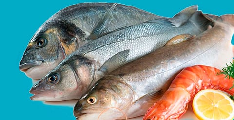 Pescado fresco y barato: puntos de venta en Morelia