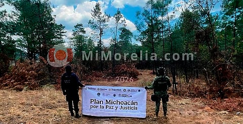 Ejército destruye campamento presuntamente ligado a la delincuencia en zona serrana de Zinapécuaro
