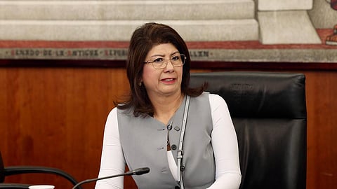 Senadora admite sacrificio de 10 mil perros mientras fue edil de Tecámac, Edomex
