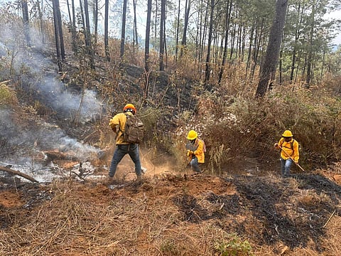 Brigadas logran contener incendio en Tacámbaro, cerca de Santa Rita