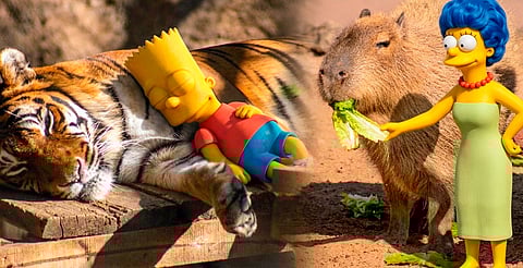 Los Simpson ‘visitan’ el Zoo de Morelia