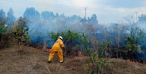 Controlan incendio de pastizal en carretera Morelia-Pátzcuaro