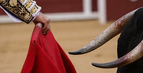 VIDEO: torero recibe fuerte cornada y lo reportan muy grave