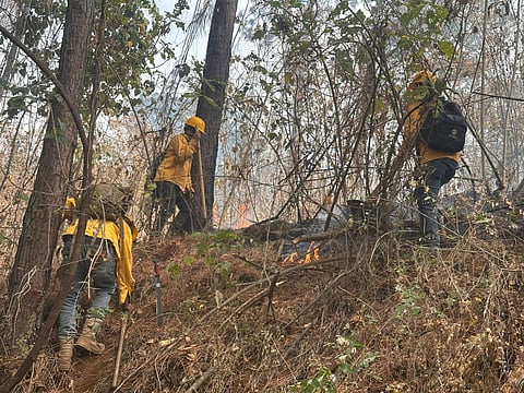 Pese a lluvias continúan incendios en Tacámbaro