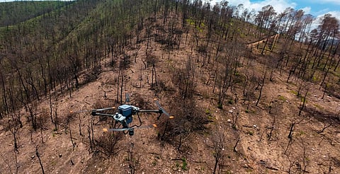 Van más de 7 mil hectáreas afectadas por incendios forestales: Secma