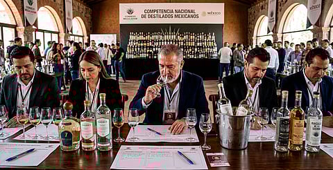 Alistan competencia de destilados; buscarán distinguir calidad con certificación