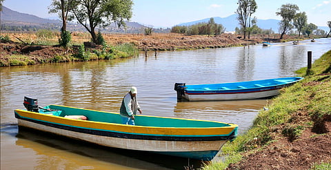 Hallazgo de tres nuevos manantiales consolidan rescate del lago de Pátzcuaro: Bedolla 