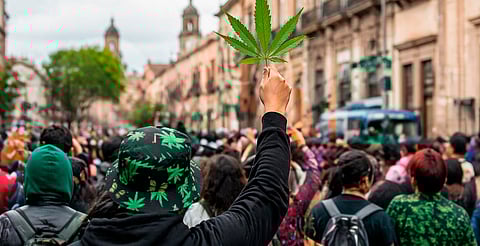 Habrá marcha por la marihuana en Morelia: hora, ruta y todo lo que debes saber