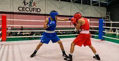 🥊 Morelia vibrará con choque de boxeo entre Michoacán y Querétaro