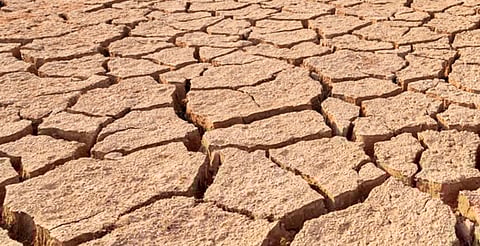 Michoacán en alerta ante el regreso de "El Niño"; sequía podría agravarse: Secma