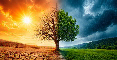 Fenómeno El Niño podría ser fuerte este 2026: advierten cambios climáticos