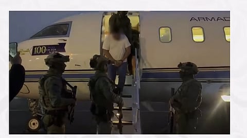 Así siguió Marina la pista de ‘El Jardinero’ durante más de un año