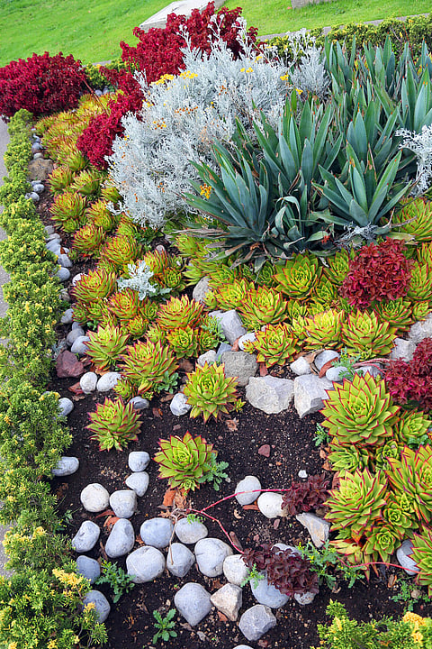 Jardines botánicos: aliados clave para proteger la biodiversidad