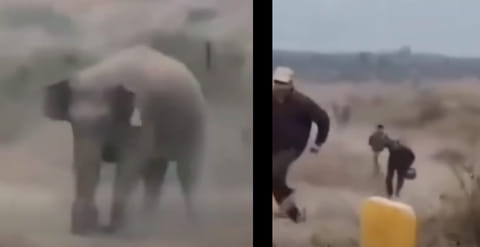 Elefante mata a cazador y graban el momento