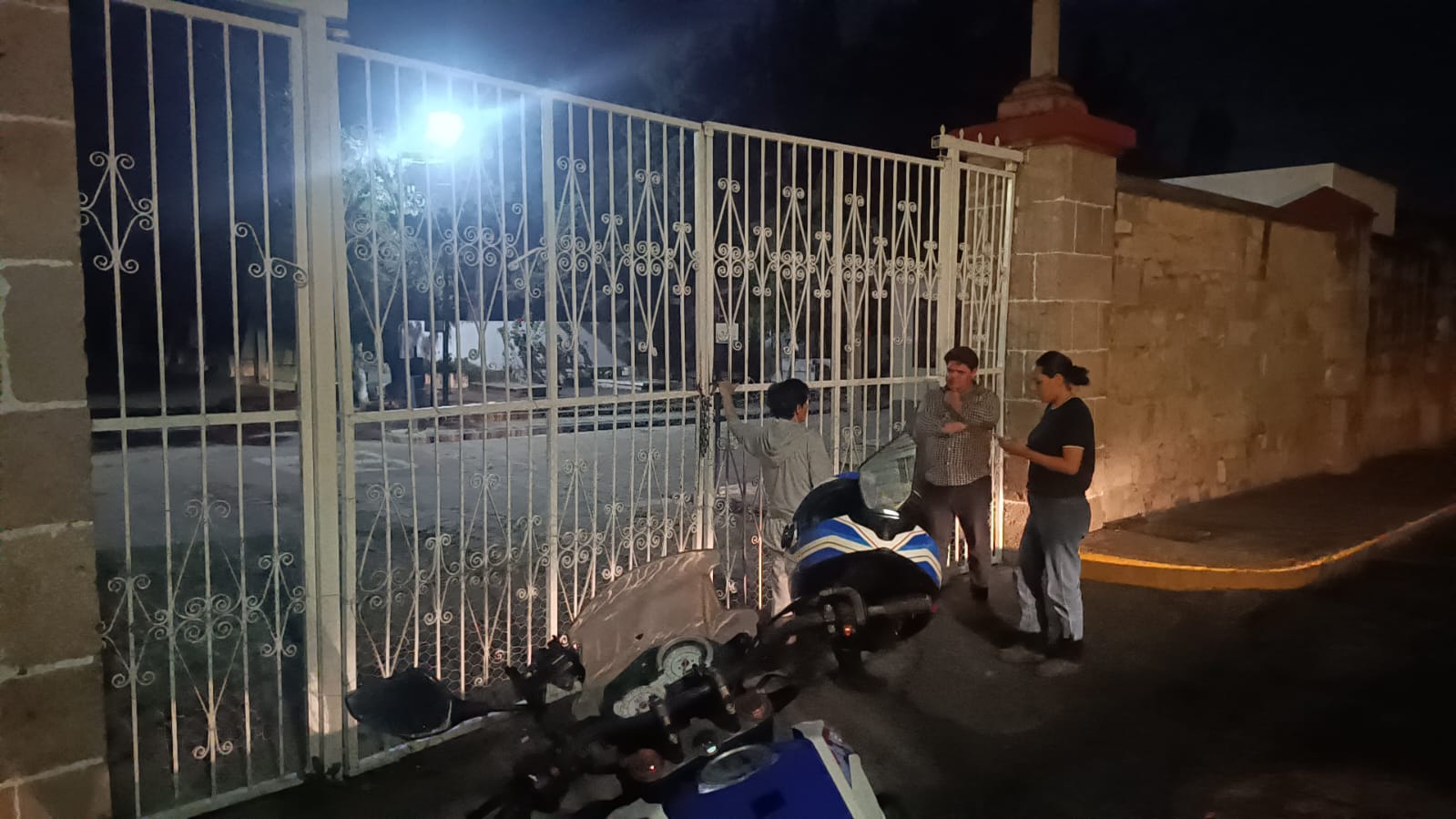 Obstaculizan acciones del IMPA para atender gatos ferales en panteón de Morelia