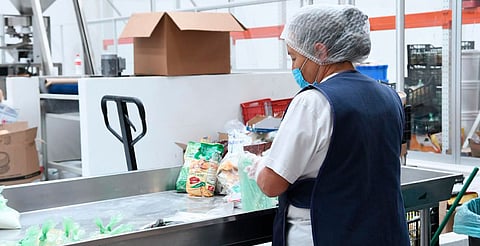 Michoacán supera 505 mil empleos formales: Sedeco