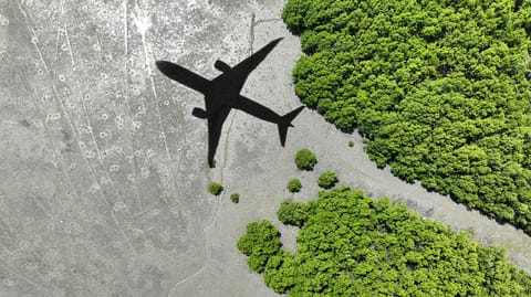 México impulsa aviación sustentable con mesa técnica sobre combustibles SAF