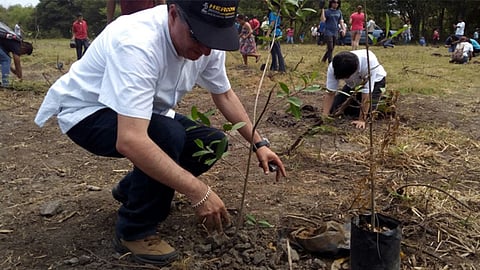 Se estima que en las últimas dos décadas se ha perdido aproximadamente el 35% de los manglares del mundo