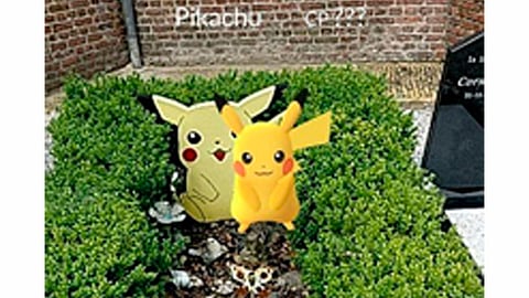 El hallazgo de Pikachú fue en Edam-Volendam, en los Países Bajos