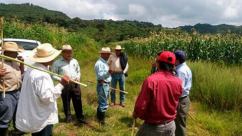 Se pondrá en marcha el “Fondo de Protección y Vida Campesina”