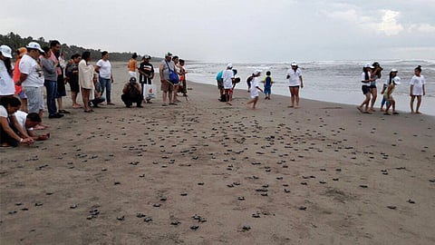 Esta actividad se realizó en el campamento La Tortuga