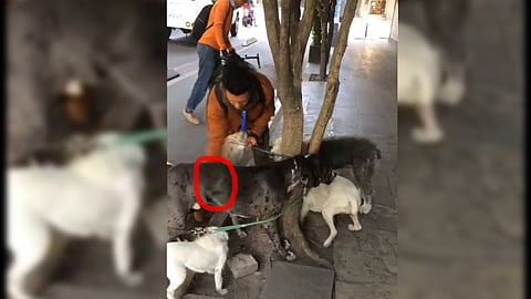 El golpe se lo da sin motivo aparente (Fotograma: Facebook)