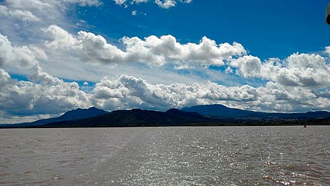 Además la deforestación se acelera, hay más de 10 mil hectáreas arboladas que se han perdido por la sobreexplotación forestal