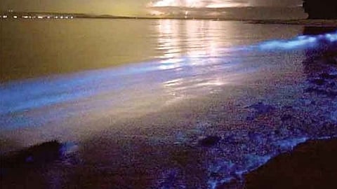 En los meses de enero a septiembre, el mayor alcance del fenómeno en abril y mayo (Foto: Secretaría de Turismo de Oaxaca)